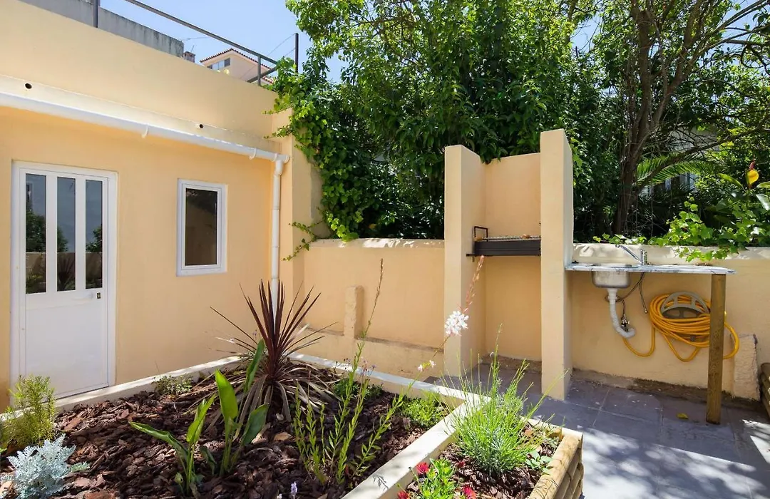 Designer Flats In Lapa-1
